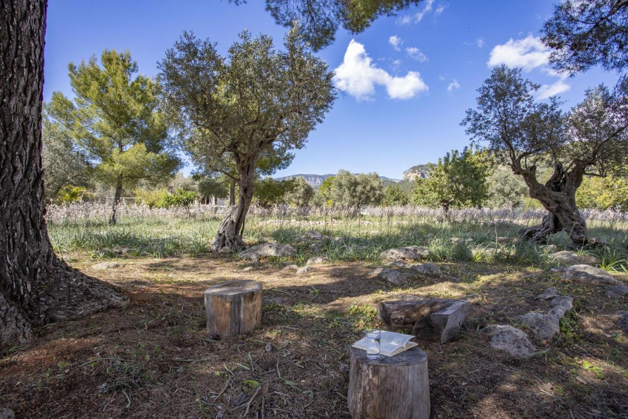 Finca Barons بونيولا المظهر الخارجي الصورة
